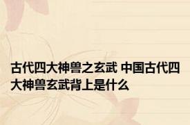 古代四大神兽之玄武 中国古代四大神兽玄武背上是什么