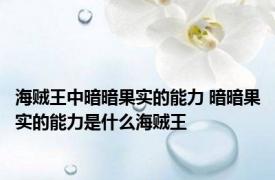 海贼王中暗暗果实的能力 暗暗果实的能力是什么海贼王
