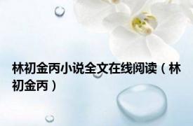林初金丙小说全文在线阅读（林初金丙）