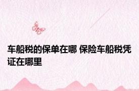 车船税的保单在哪 保险车船税凭证在哪里
