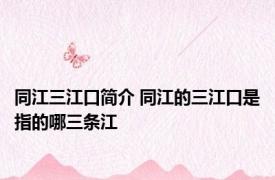 同江三江口简介 同江的三江口是指的哪三条江