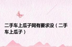 二手车上瓜子网有要求没（二手车上瓜子）