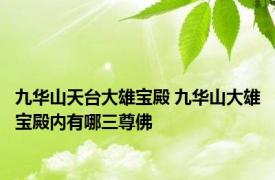 九华山天台大雄宝殿 九华山大雄宝殿内有哪三尊佛