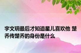 宇文玥最后才知道星儿喜欢他 楚乔传楚乔的身份是什么