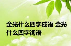 金光什么四字成语 金光什么四字词语