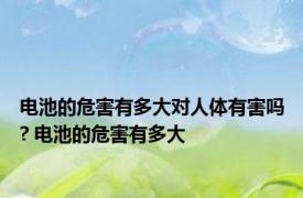 电池的危害有多大对人体有害吗? 电池的危害有多大