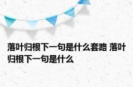 落叶归根下一句是什么套路 落叶归根下一句是什么