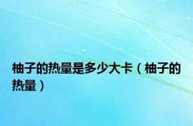 柚子的热量是多少大卡（柚子的热量）