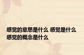 感觉的意思是什么 感觉是什么 感觉的概念是什么