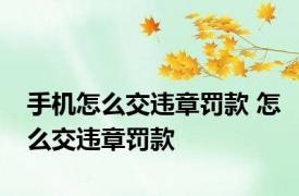 手机怎么交违章罚款 怎么交违章罚款