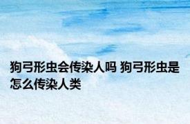 狗弓形虫会传染人吗 狗弓形虫是怎么传染人类