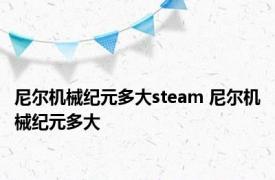 尼尔机械纪元多大steam 尼尔机械纪元多大