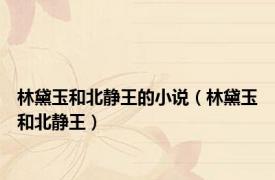 林黛玉和北静王的小说（林黛玉和北静王）
