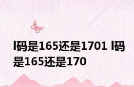 l码是165还是1701 l码是165还是170
