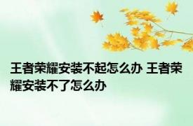 王者荣耀安装不起怎么办 王者荣耀安装不了怎么办