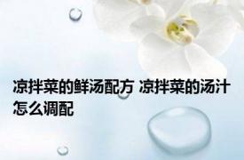 凉拌菜的鲜汤配方 凉拌菜的汤汁怎么调配