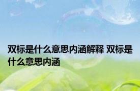 双标是什么意思内涵解释 双标是什么意思内涵