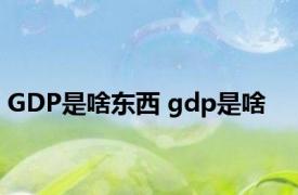 GDP是啥东西 gdp是啥