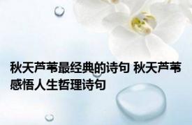 秋天芦苇最经典的诗句 秋天芦苇感悟人生哲理诗句