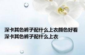 深卡其色裤子配什么上衣颜色好看 深卡其色裤子配什么上衣