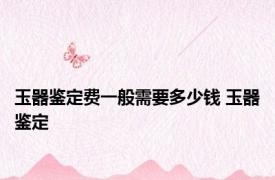 玉器鉴定费一般需要多少钱 玉器鉴定 