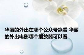 华丽的外出在哪个公众号能看 华丽的外出电影哪个播放器可以看