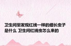 卫生间里发现红线一样的细长虫子是什么 卫生间红线虫怎么来的