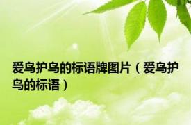 爱鸟护鸟的标语牌图片（爱鸟护鸟的标语）
