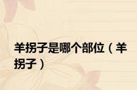 羊拐子是哪个部位（羊拐子）