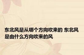 东北风是从哪个方向吹来的 东北风是由什么方向吹来的风