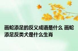 画蛇添足的反义成语是什么 画蛇添足反类犬是什么生肖