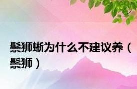 鬃狮蜥为什么不建议养（鬃狮）