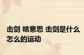 击剑 啥意思 击剑是什么怎么的运动