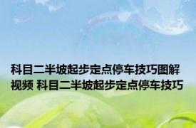 科目二半坡起步定点停车技巧图解视频 科目二半坡起步定点停车技巧