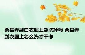 桑葚弄到白衣服上能洗掉吗 桑葚弄到衣服上怎么洗才干净