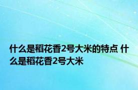 什么是稻花香2号大米的特点 什么是稻花香2号大米