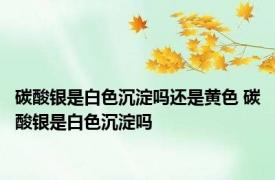 碳酸银是白色沉淀吗还是黄色 碳酸银是白色沉淀吗