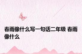 春雨像什么写一句话二年级 春雨像什么
