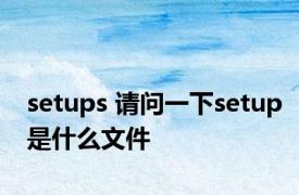 setups 请问一下setup是什么文件