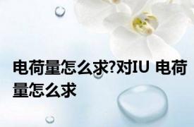 电荷量怎么求?对IU 电荷量怎么求