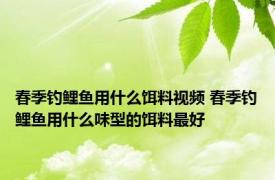 春季钓鲤鱼用什么饵料视频 春季钓鲤鱼用什么味型的饵料最好