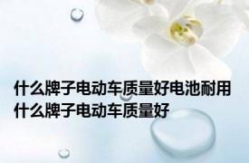 什么牌子电动车质量好电池耐用 什么牌子电动车质量好