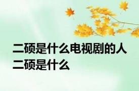 二硕是什么电视剧的人 二硕是什么