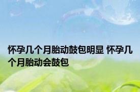 怀孕几个月胎动鼓包明显 怀孕几个月胎动会鼓包 