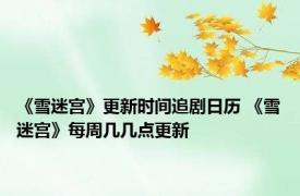 《雪迷宫》更新时间追剧日历 《雪迷宫》每周几几点更新