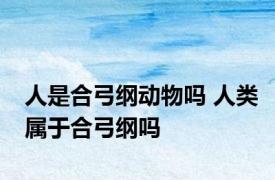 人是合弓纲动物吗 人类属于合弓纲吗