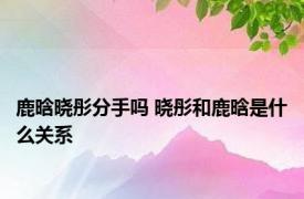 鹿晗晓彤分手吗 晓彤和鹿晗是什么关系