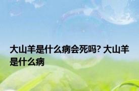 大山羊是什么病会死吗? 大山羊是什么病 