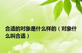 合适的对象是什么样的（对象什么叫合适）