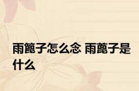雨篦子怎么念 雨蓖子是什么
